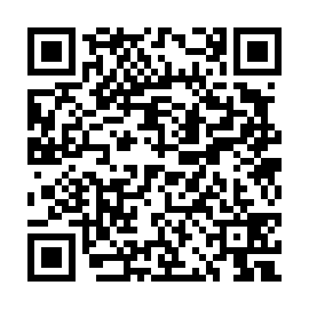 QR code for UBC4393