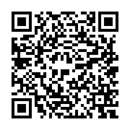 QR code for UBU9653