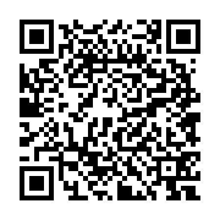 QR code for UDD6729