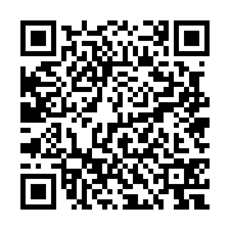 QR code for UDE0341