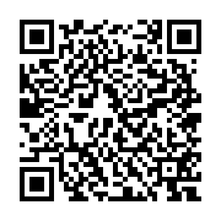 QR code for UDE6519
