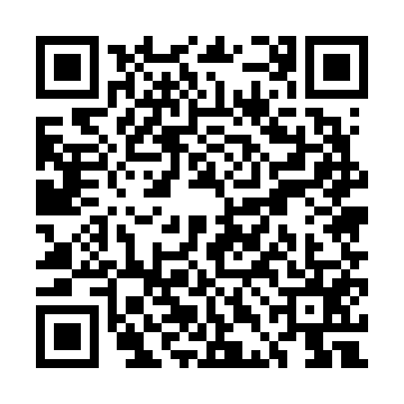 QR code for UDE6559