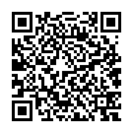 QR code for UDF3393