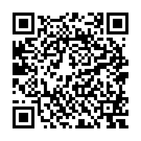 QR code for UDI2819