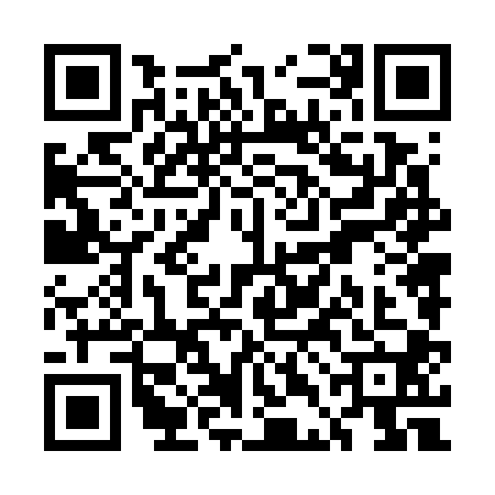QR code for UDN7007
