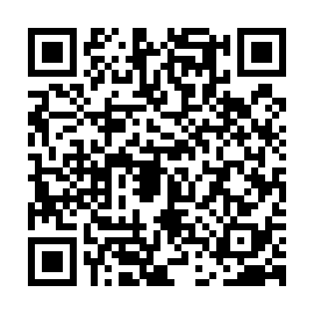 QR code for UDU5384