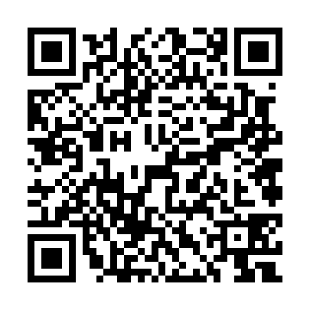 QR code for UDV0385