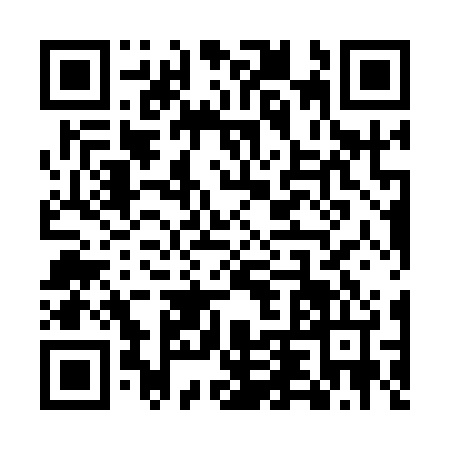 QR code for UDX1241