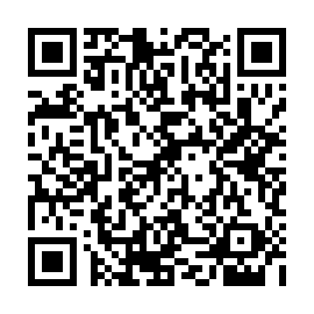QR code for UDY0995