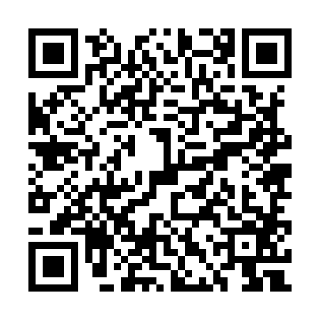 QR code for UDZ9869