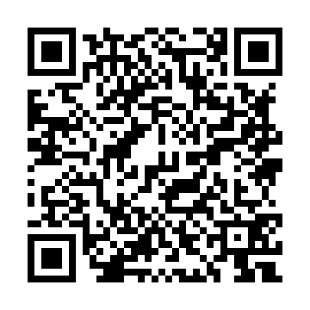 QR code for UII8729