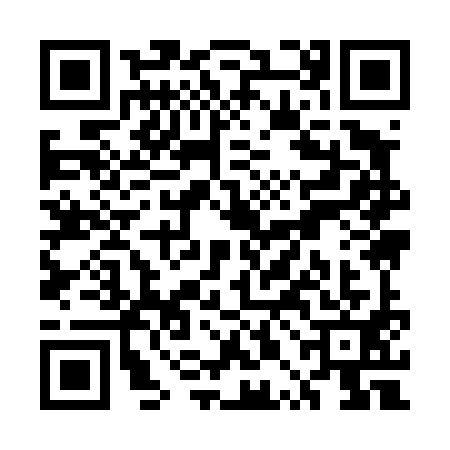 QR code for UPI4913