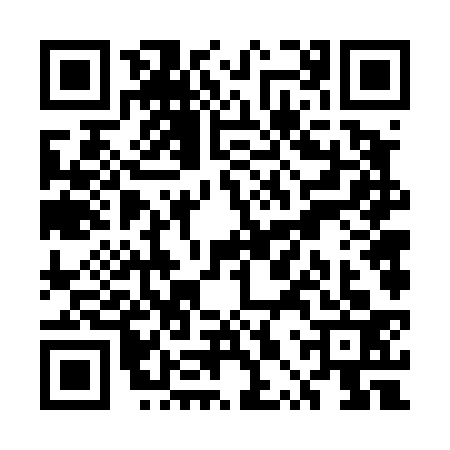 QR code for UPV4339