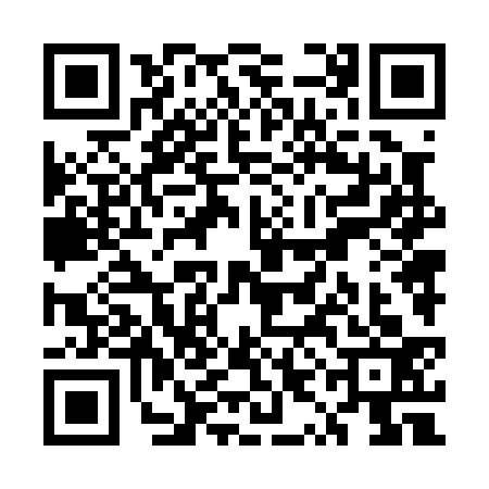 QR code for UYN0334