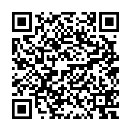 QR code for UYS0196