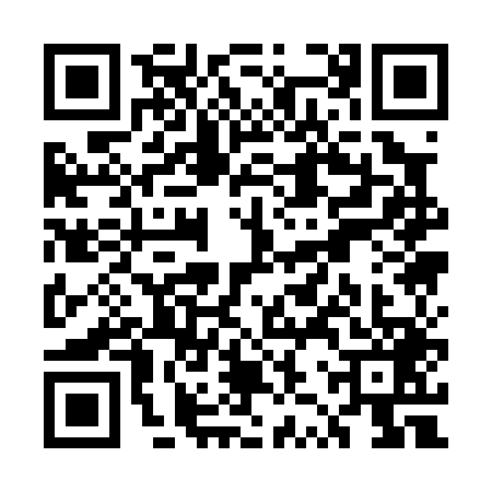 QR code for UZQ0493