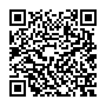 QR code for VAG4335