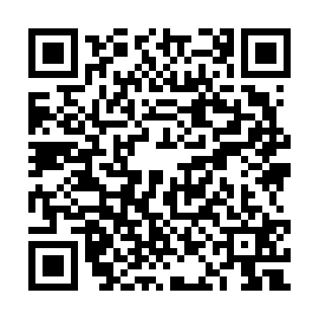 QR code for VAI6213