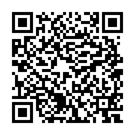 QR code for VAS6919