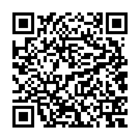 QR code for VAV6333