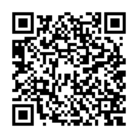 QR code for VDG2030