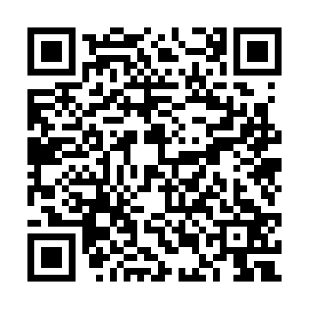 QR code for VEO3234