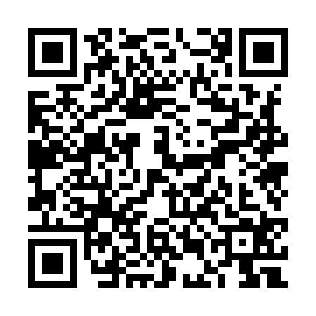 QR code for VEO9241