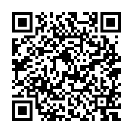 QR code for VFA3817