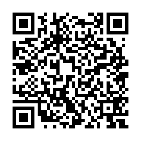 QR code for VFP3593