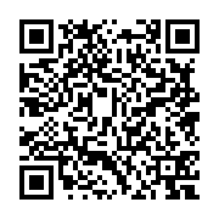 QR code for VFP8313