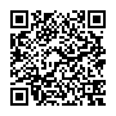 QR code for VGI0383