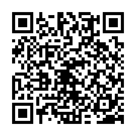 QR code for VIE3356