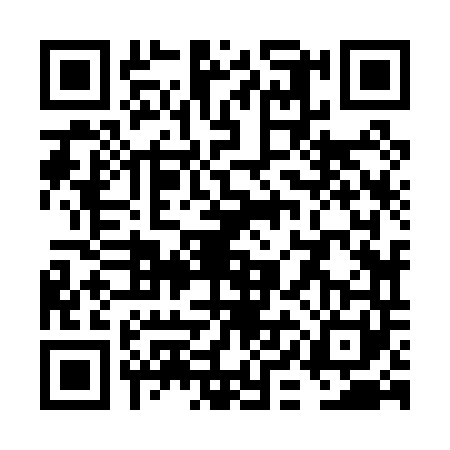 QR code for VIJ0411