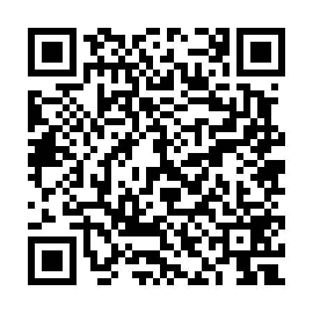 QR code for VIJ4595