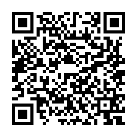 QR code for VIJ9617