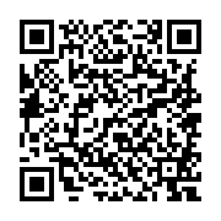 QR code for VIJ9811
