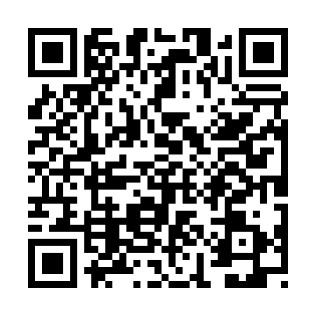 QR code for VIO0318