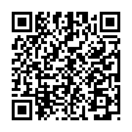 QR code for VIO0506