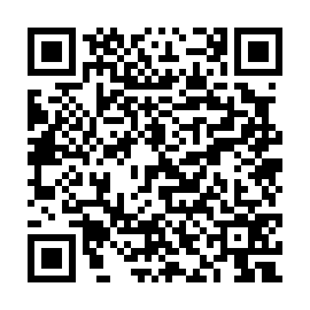 QR code for VIO0763