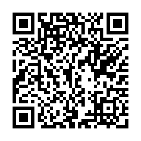 QR code for VIV1383