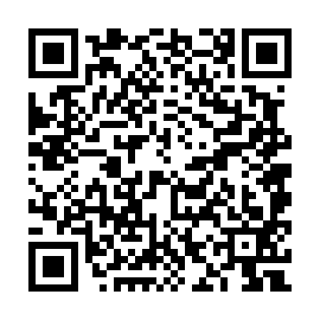 QR code for VIV4931