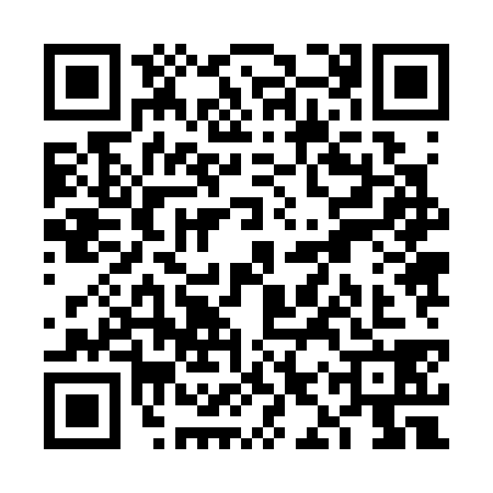 QR code for VIZ3389