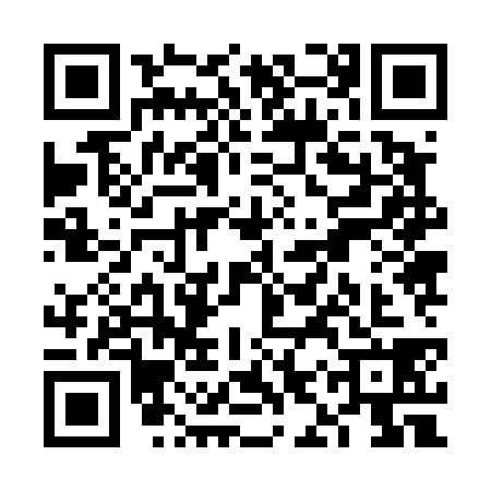 QR code for VIZ4389