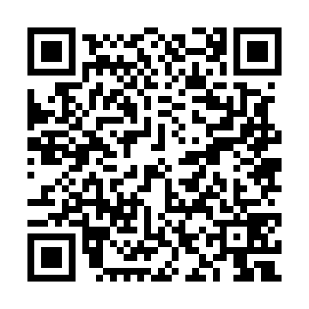 QR code for VIZ5795