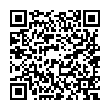QR code for VIZ9917