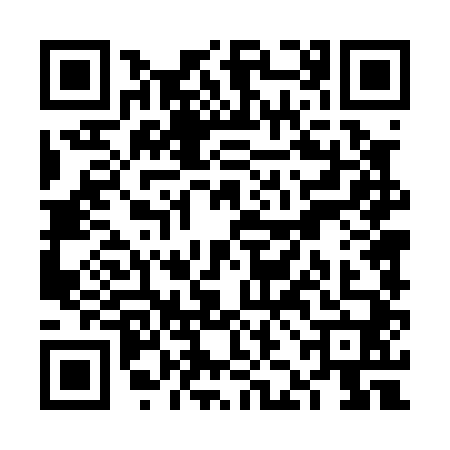 QR code for VJD0409