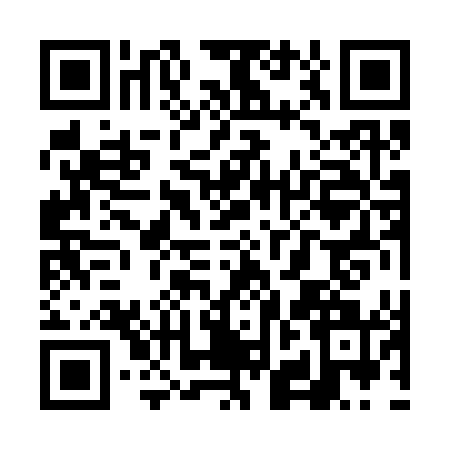 QR code for VJJ3419