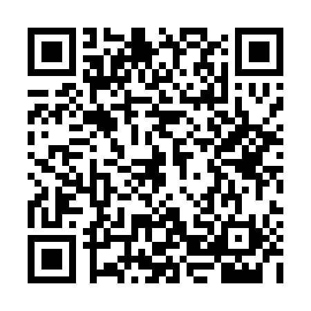 QR code for VJL0100