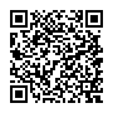 QR code for VKU0919
