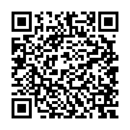QR code for VLD0463
